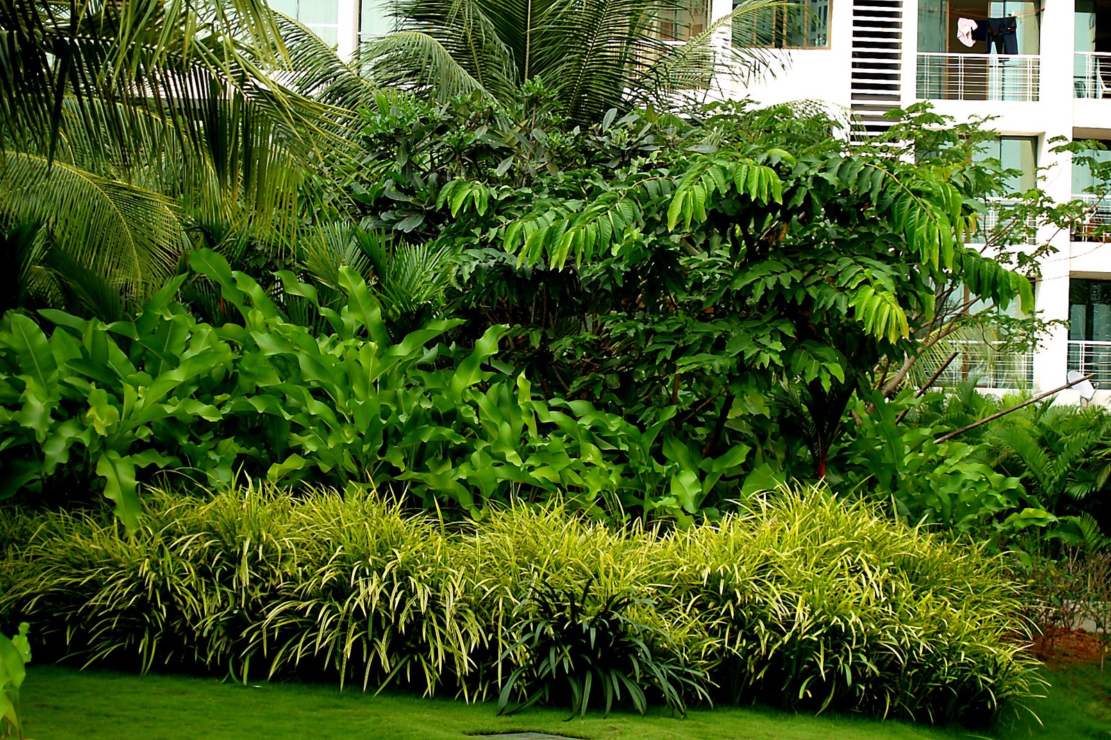 Kesar Harmony, Kharghar